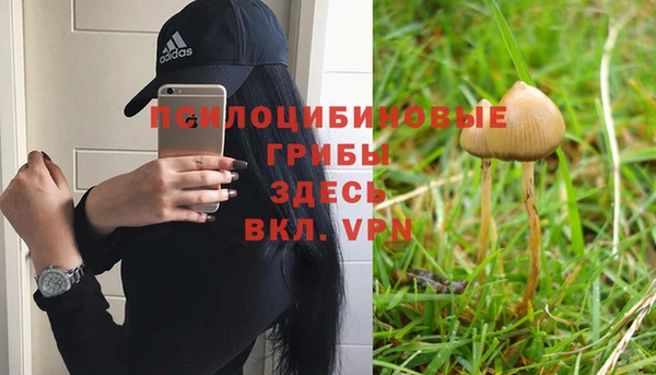а пвп мука Осинники
