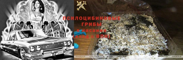 а пвп мука Осинники